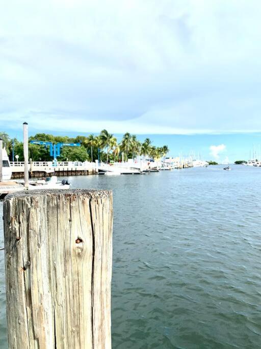 Groveo4 10 Min From The Beach Miami Exterior foto